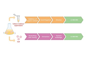 Analysis of Intracellular and Extracellular Metabolites in One Method