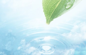 Anion Suppressor Ion Chromatograph